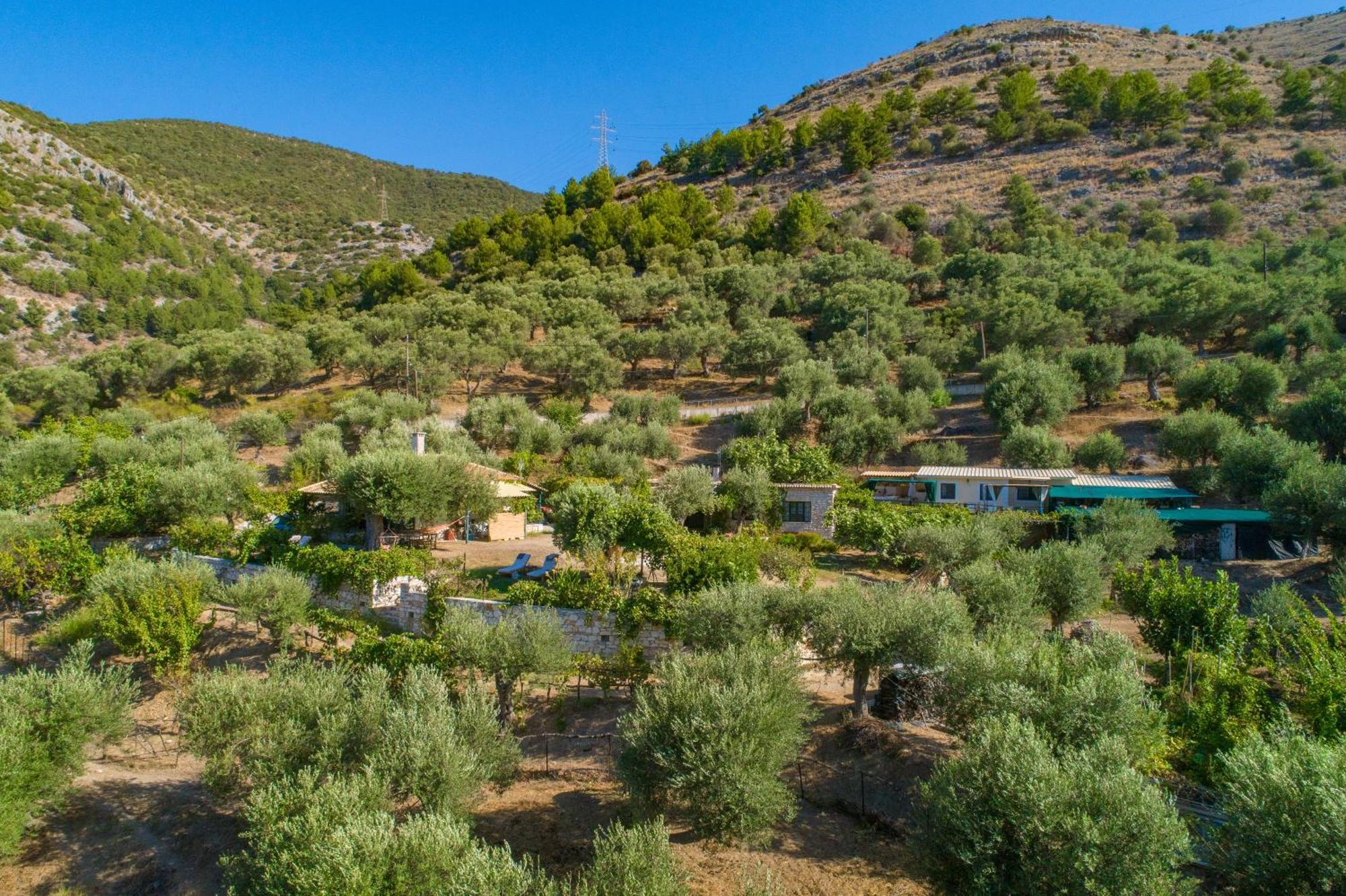 Liodentro - Olea Villa Plataria Buitenkant foto