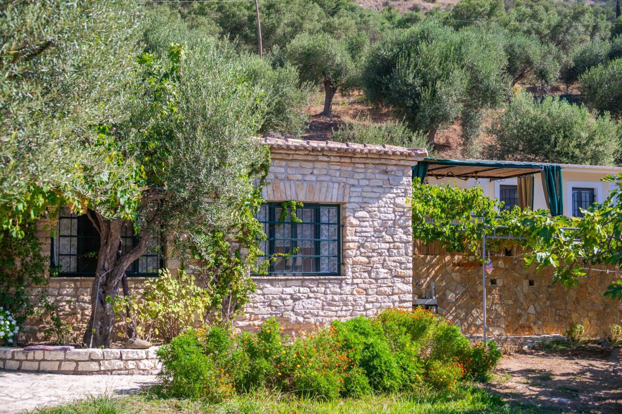 Liodentro - Olea Villa Plataria Buitenkant foto